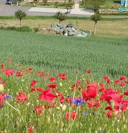 Gaestehaus Anna Penzion