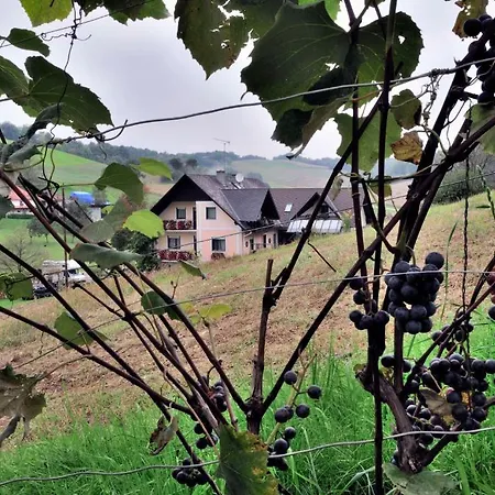 Gaestehaus Anna *