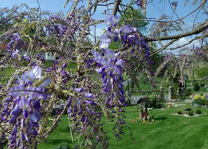 Penzion Gaestehaus Anna Unterlamm (Styria)