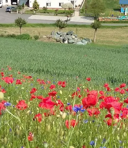 Gaestehaus Anna Penzion